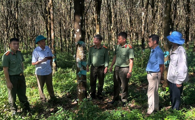 Quy định mới về bảo đảm an ninh trong chiến lược, quy hoạch, dự án phát triển kinh tế - xã hội